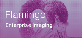 Flamingo Enterprise Imaging